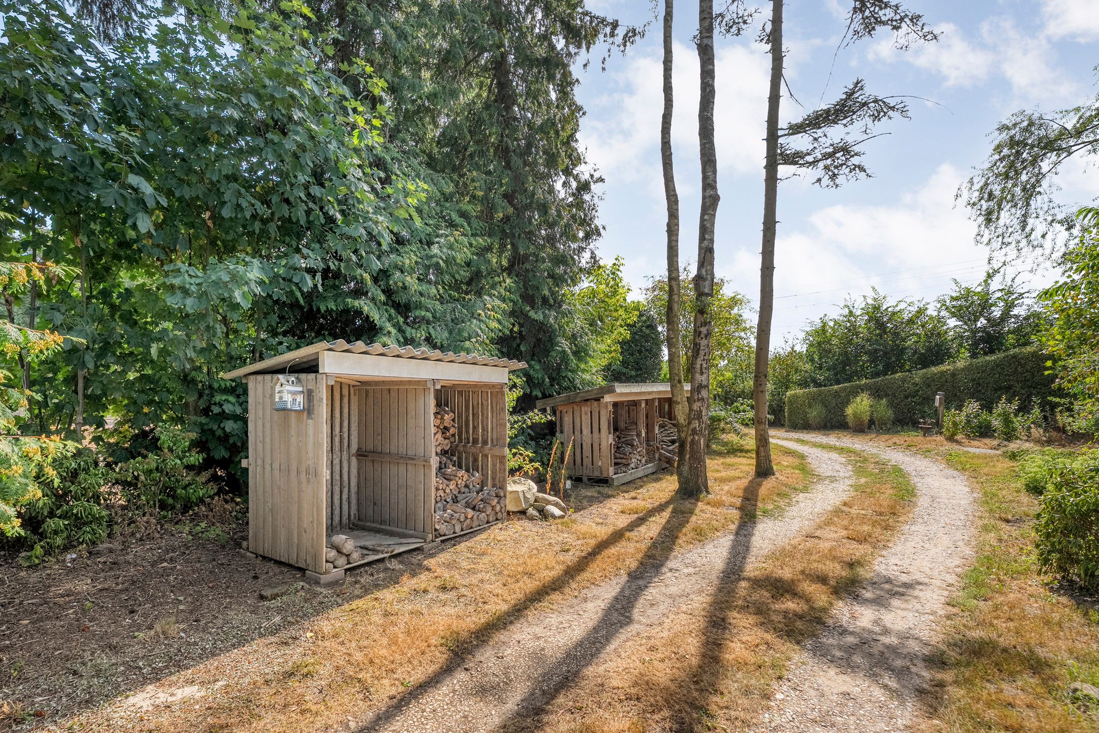 Photo 54 of Steenakkers-Oost 8