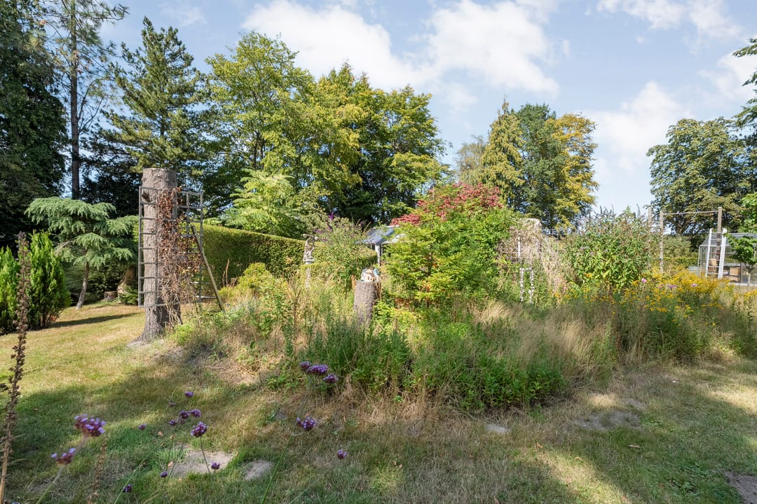 Photo 61 of Steenakkers-Oost 8