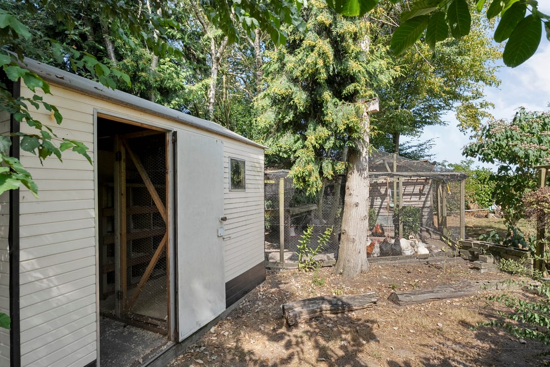 Photo 68 of Steenakkers-Oost 8