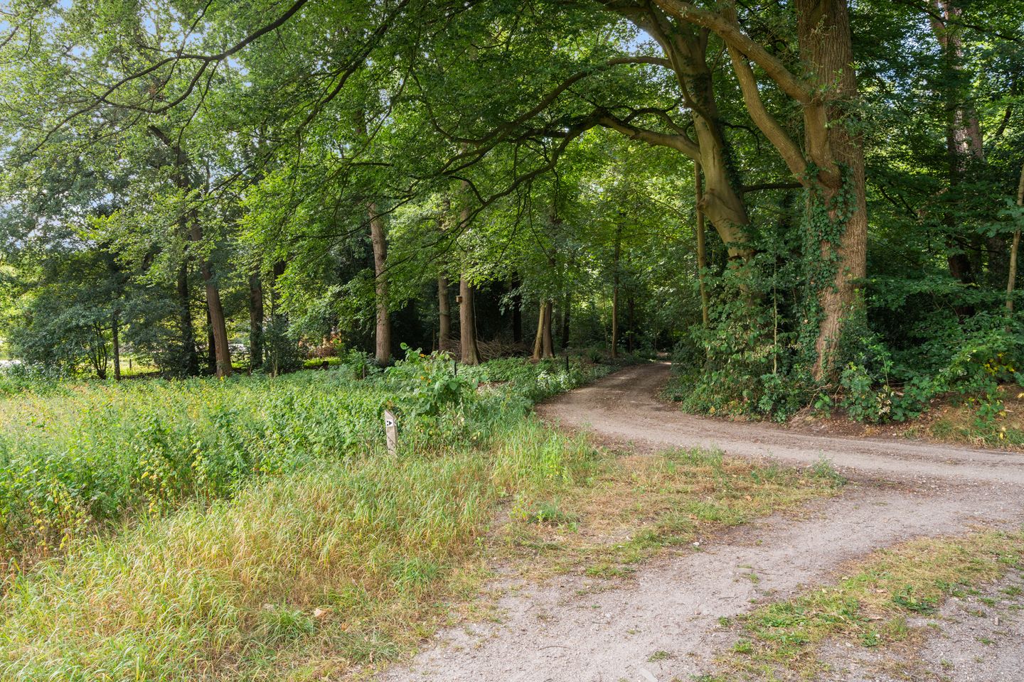 Photo 34 of Wilhelminastraat 29