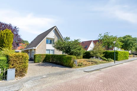 Zuidmaad thumbnail