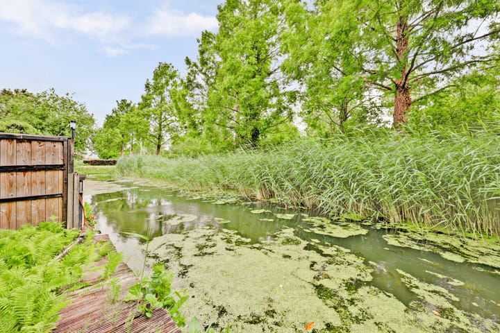 Foto 5 van Stadseiland 92
