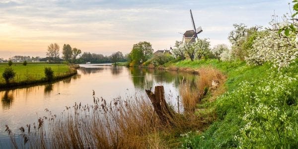 Foto 12 van Rijnbandijk 10-B113