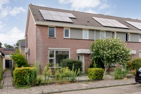 Iepensingel thumbnail