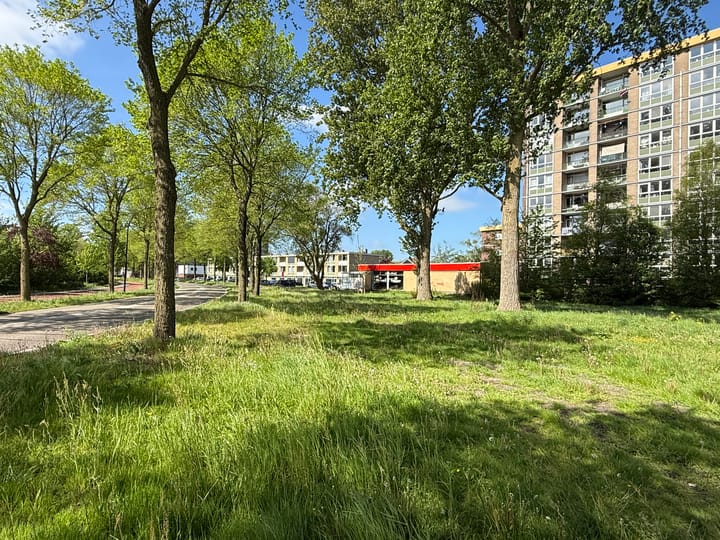 Foto 3 van Lisdoddelaan 44