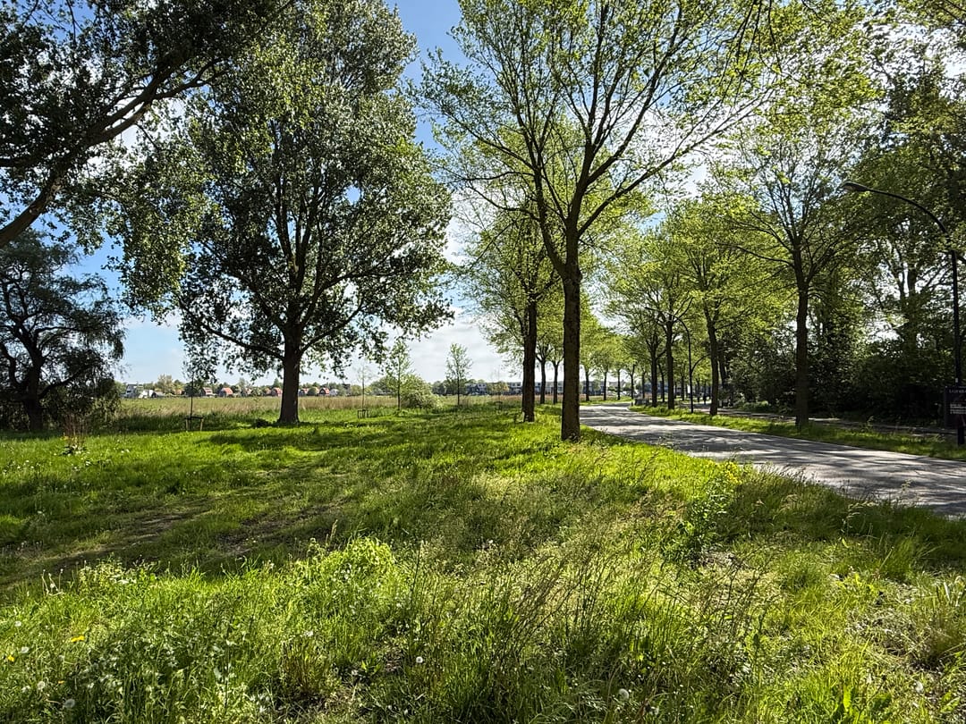 Foto 2 van Lisdoddelaan 44