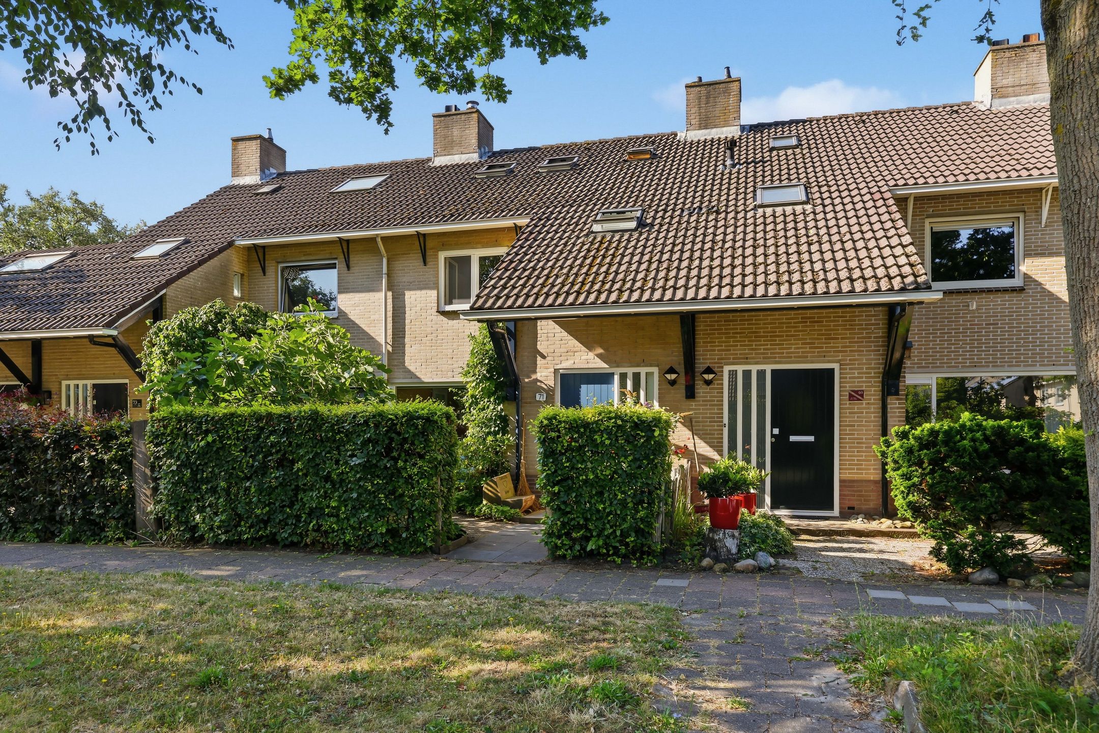 Harrelaers 71 