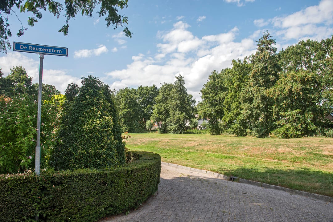 Foto 41 van De Reuzenstern 3