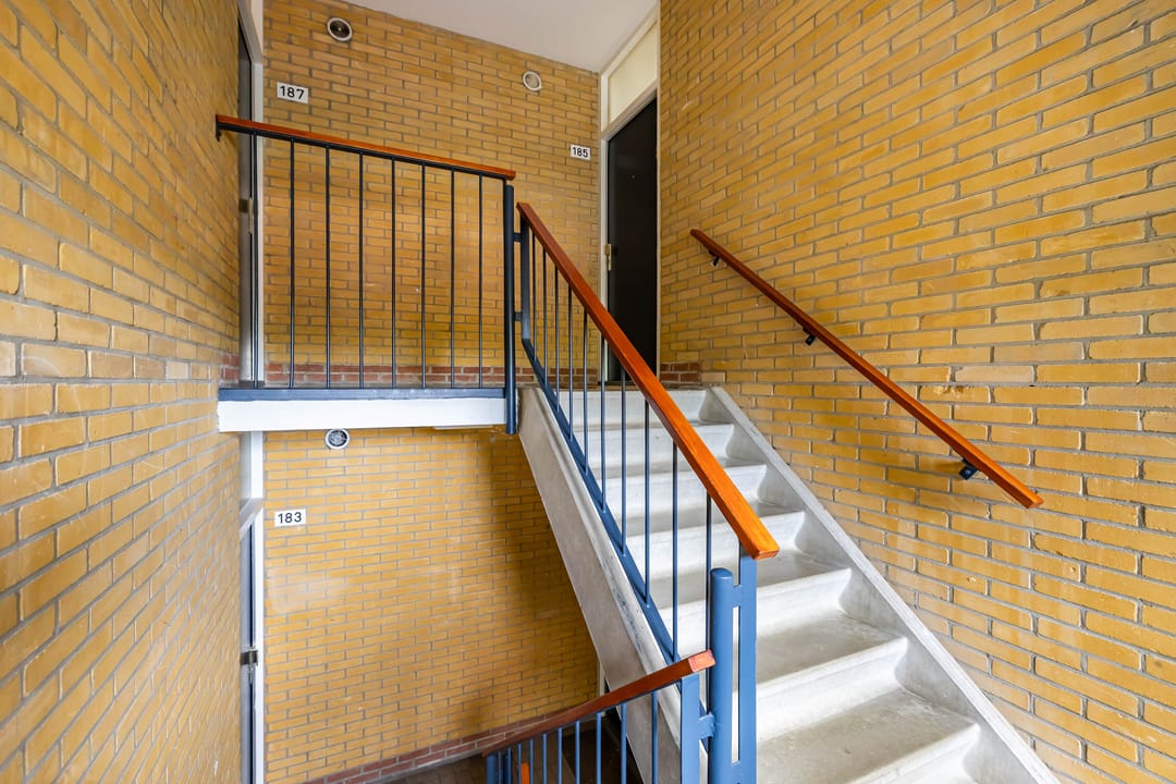 Foto 47 van Dierenriemstraat 185