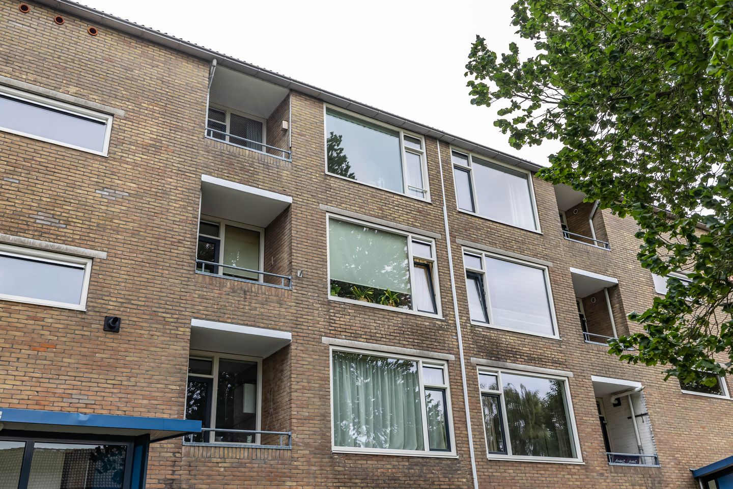 Foto 49 van Dierenriemstraat 185