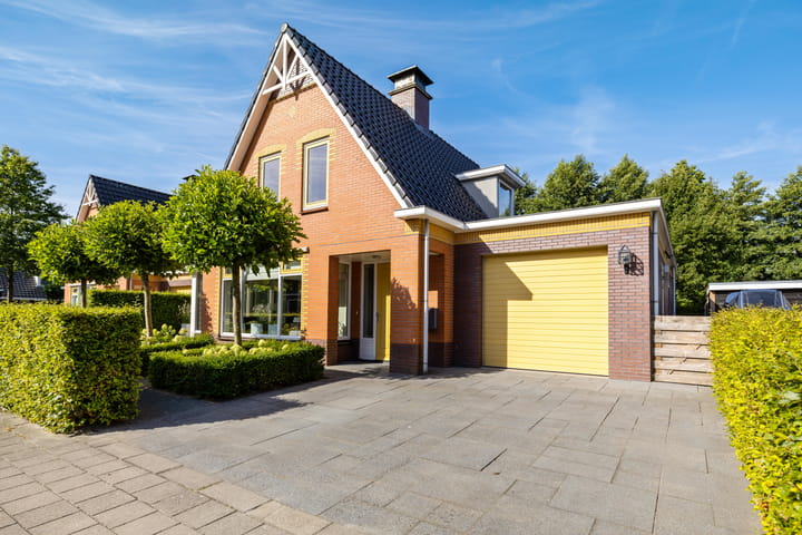 De Koppel Paarden 4