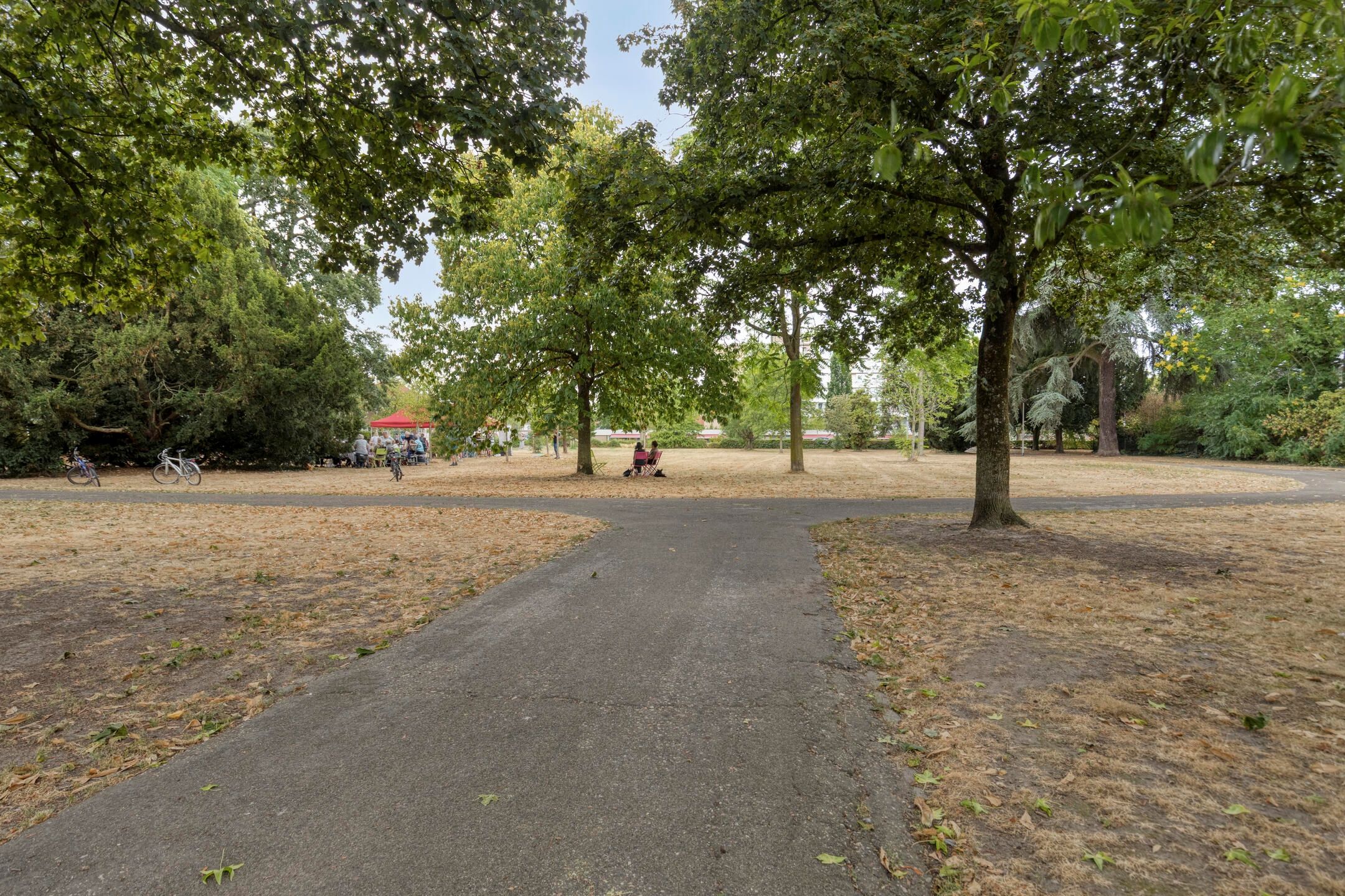 Photo 39 of Fenikshof 79