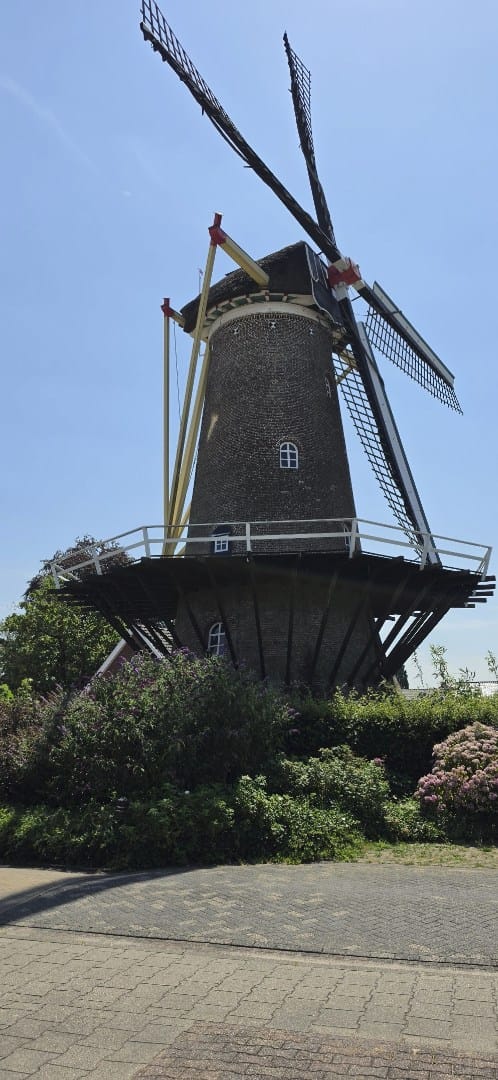 Photo 22 of Kanteel 10