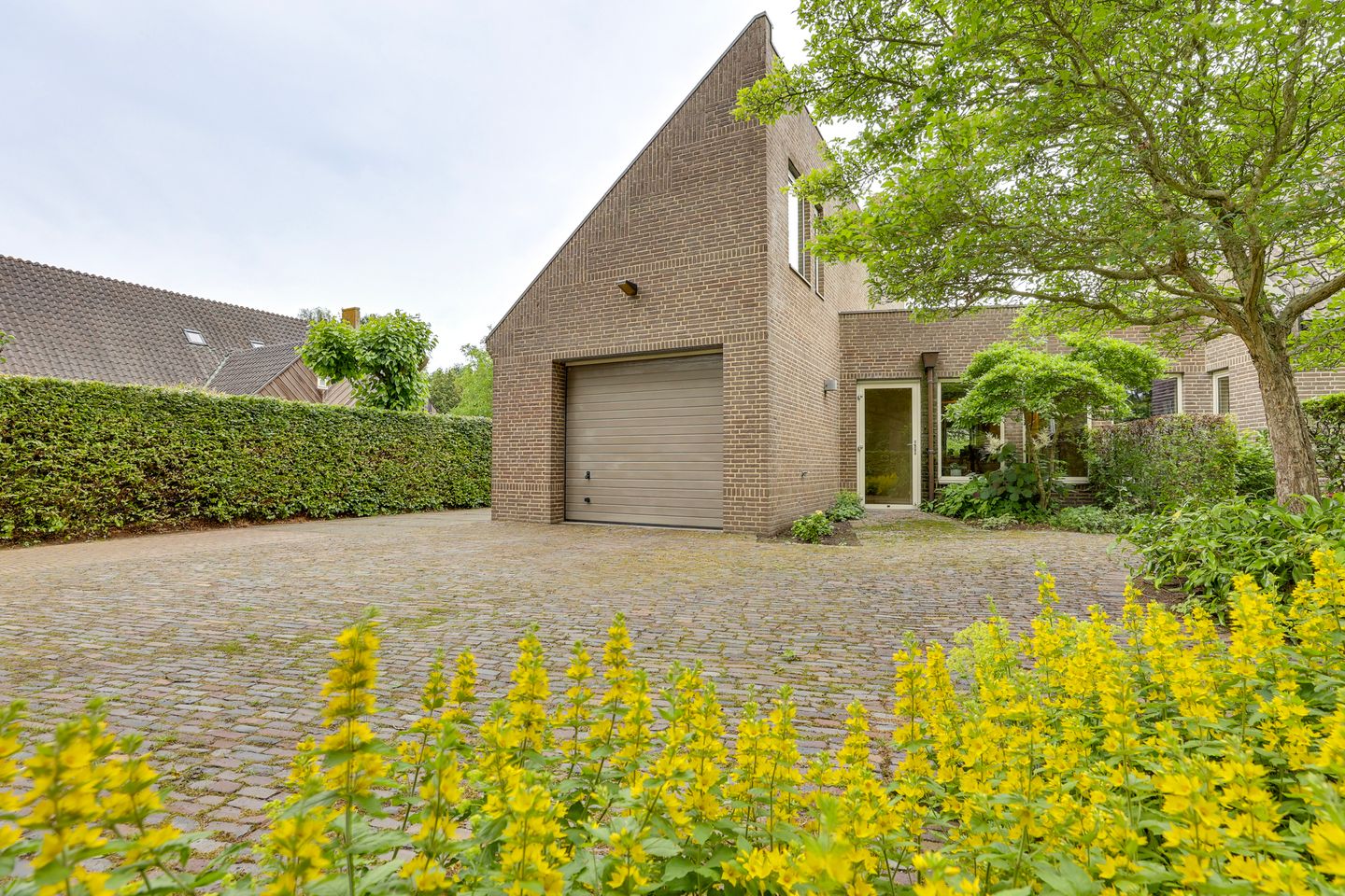 Photo 64 of Dwingelderdijk 35-B
