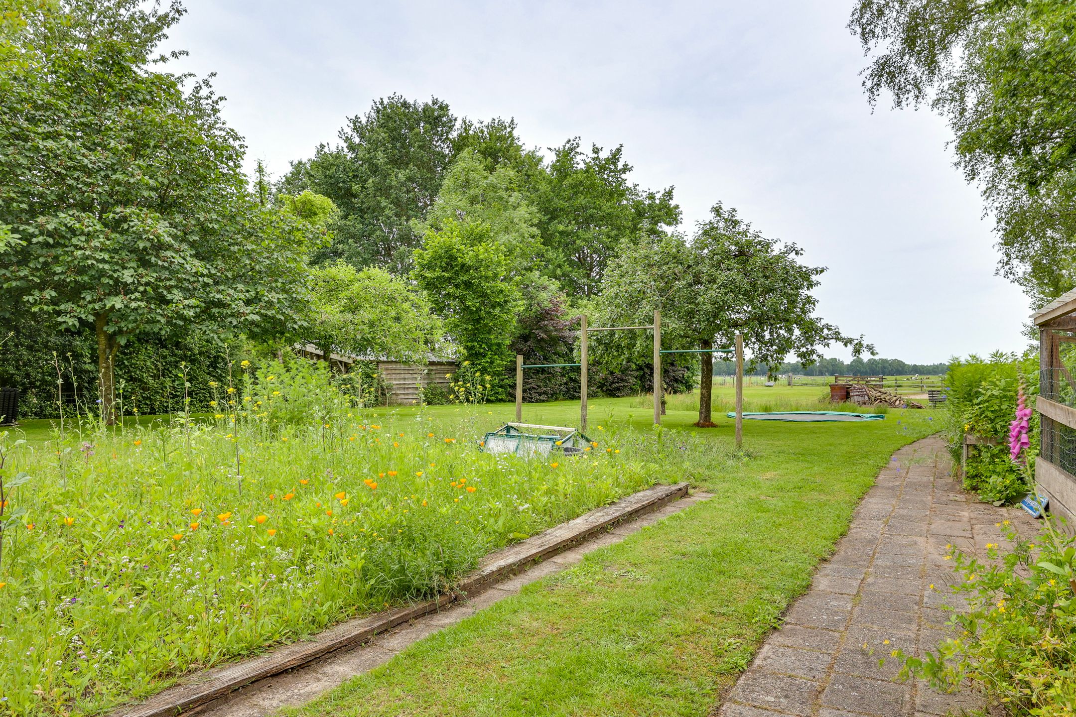 Photo 81 of Dwingelderdijk 35-B
