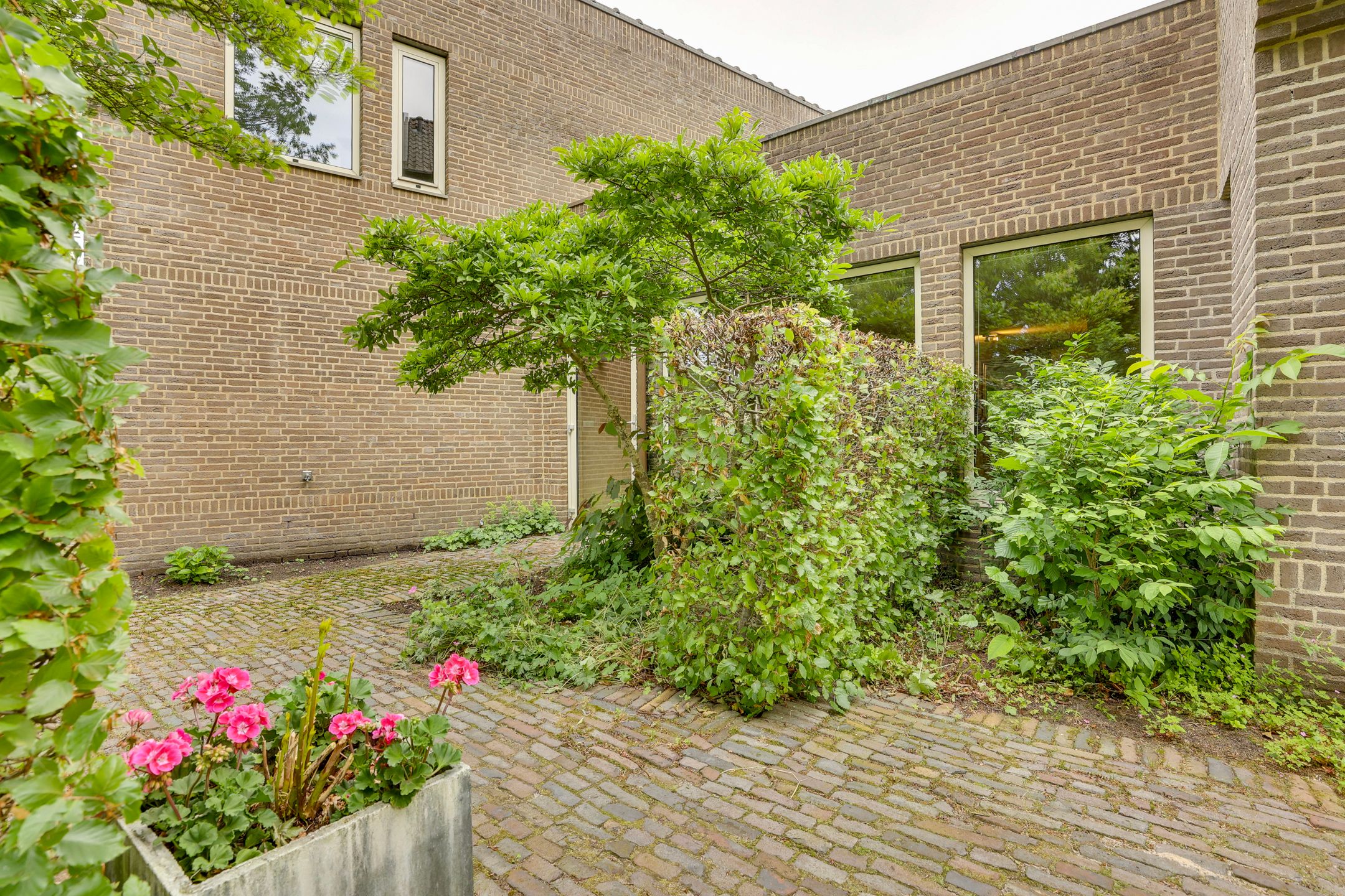 Photo 66 of Dwingelderdijk 35-B