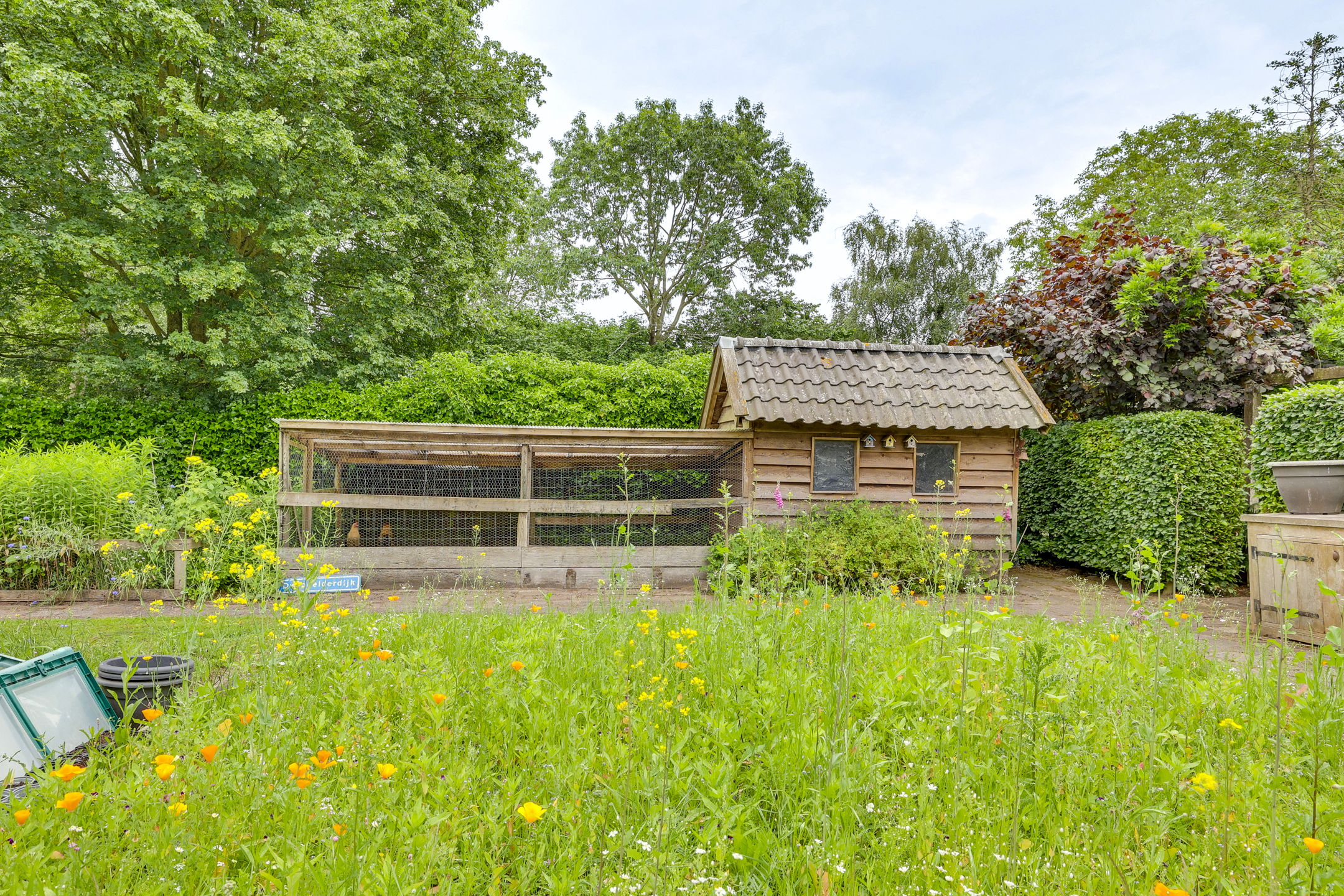 Photo 78 of Dwingelderdijk 35-B