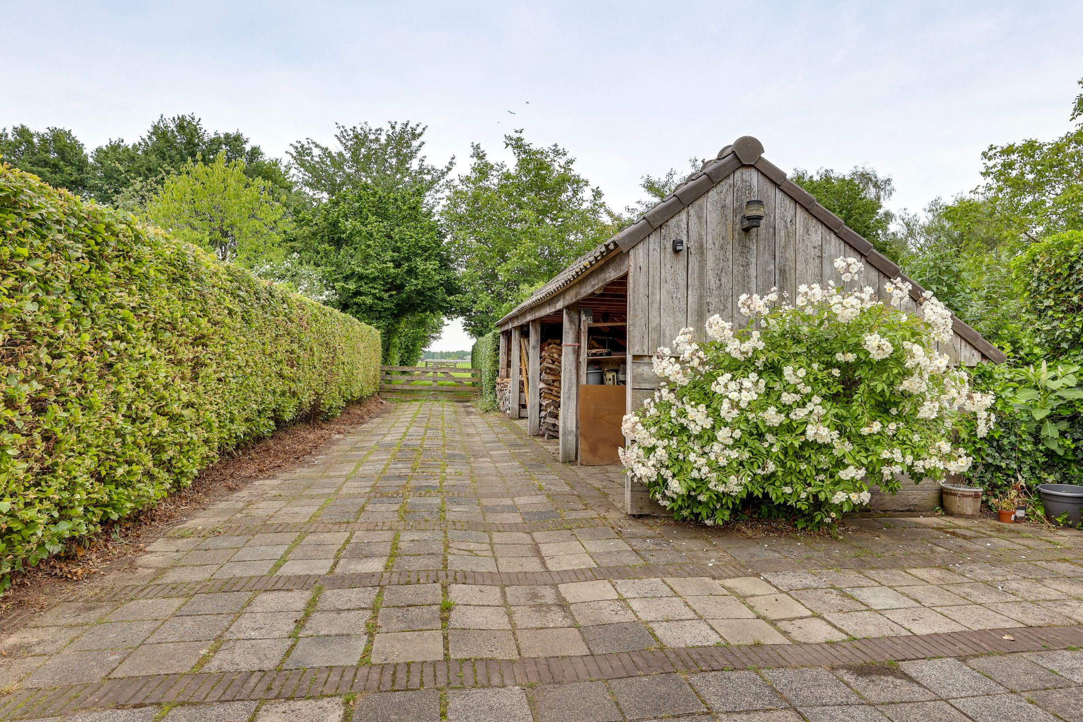 Photo 69 of Dwingelderdijk 35-B