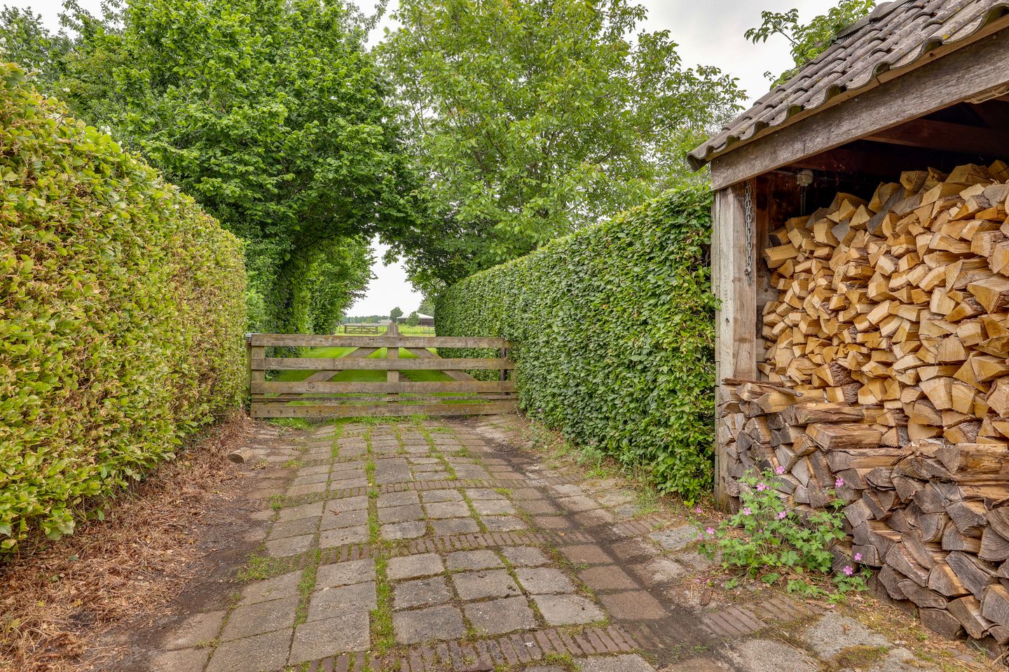 Photo 70 of Dwingelderdijk 35-B