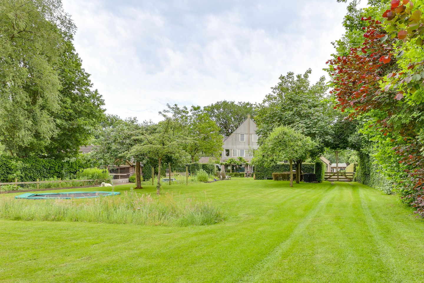 Photo 89 of Dwingelderdijk 35-B