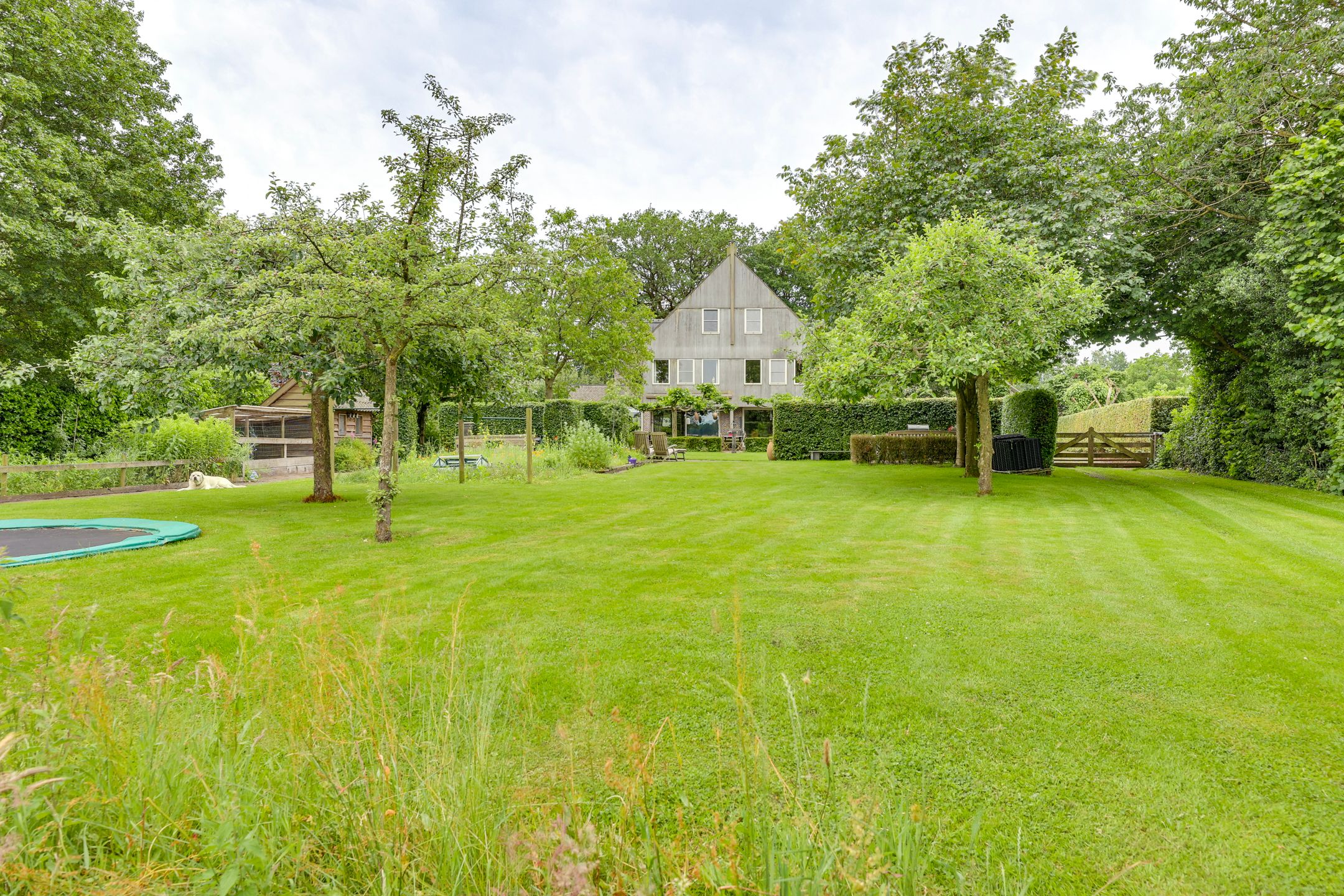 Photo 90 of Dwingelderdijk 35-B