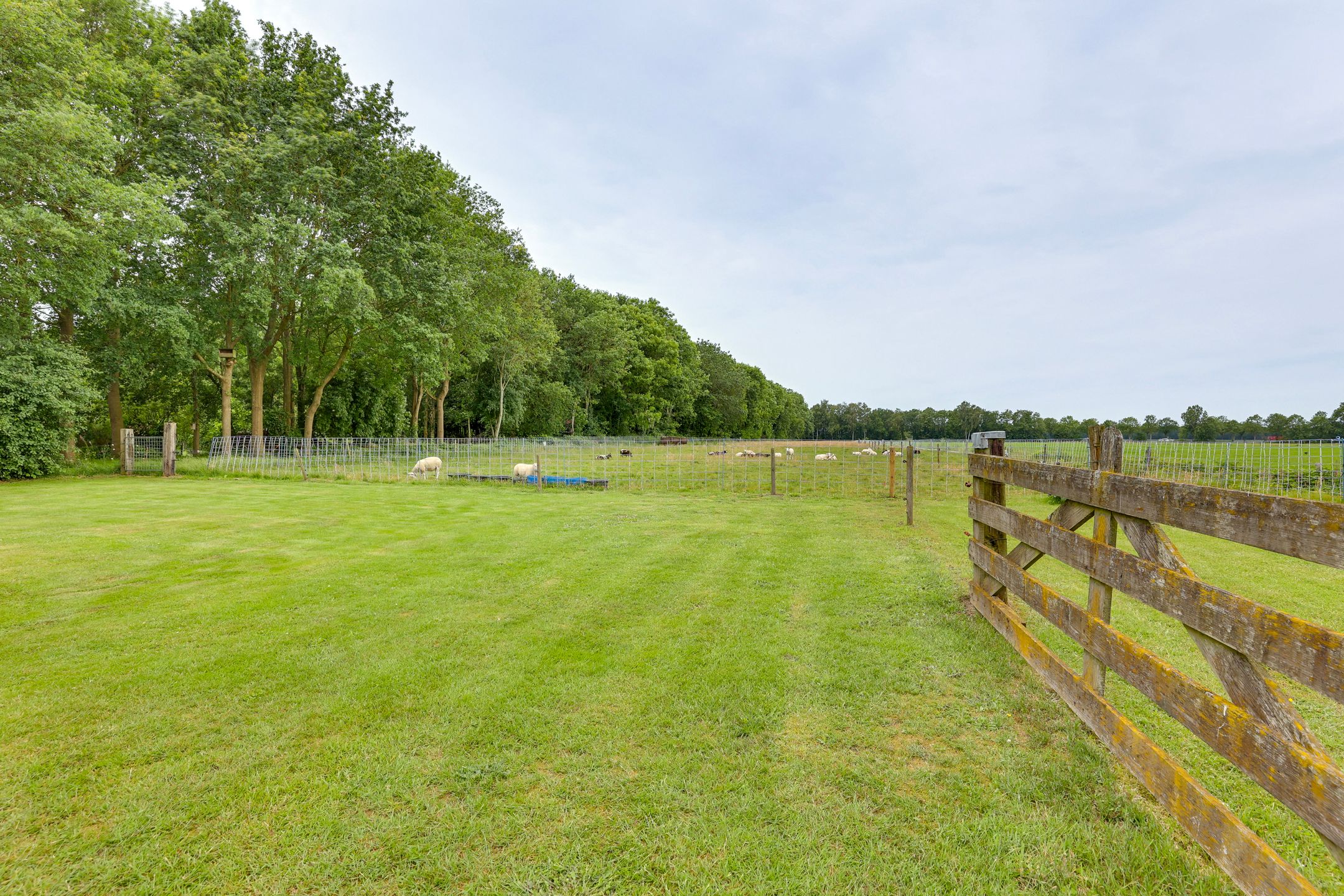 Photo 87 of Dwingelderdijk 35-B