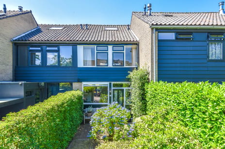 Bisschopswaarde thumbnail