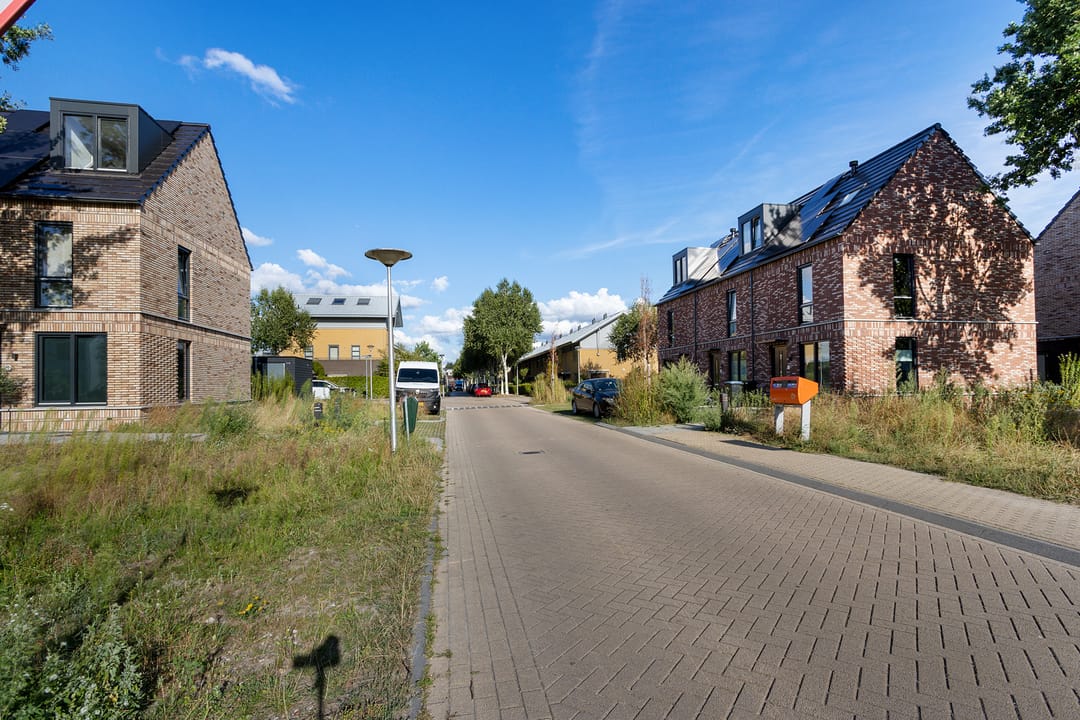 Foto 38 van Parelmoervlinder 96