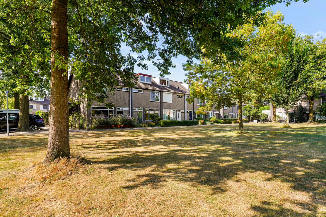 Photo 52 of De Volder 59