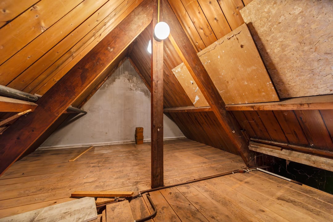 Photo 31 of De Ranitzstraat 4
