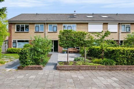 Serenadestraat thumbnail