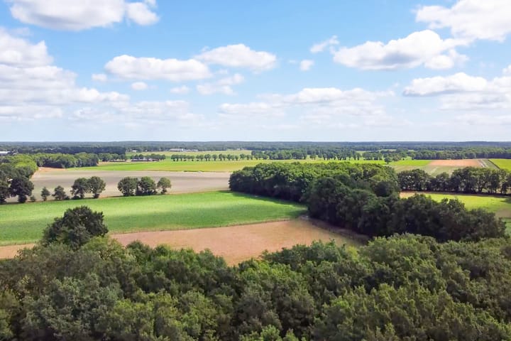 Photo 3 of Wilhelminastraat 29