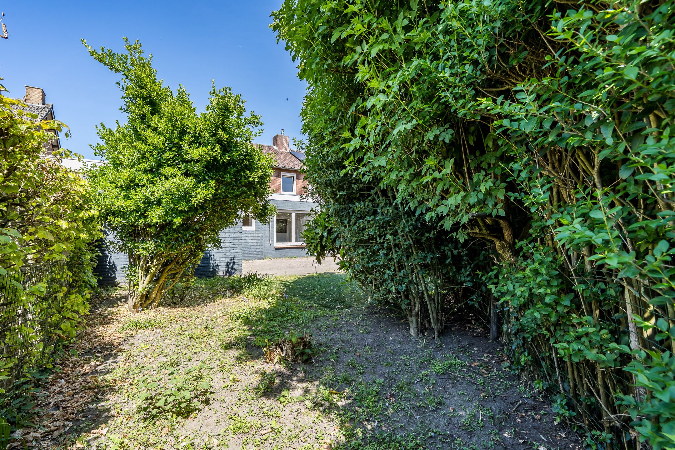 Photo 42 of Burg. Greijmansstraat 49