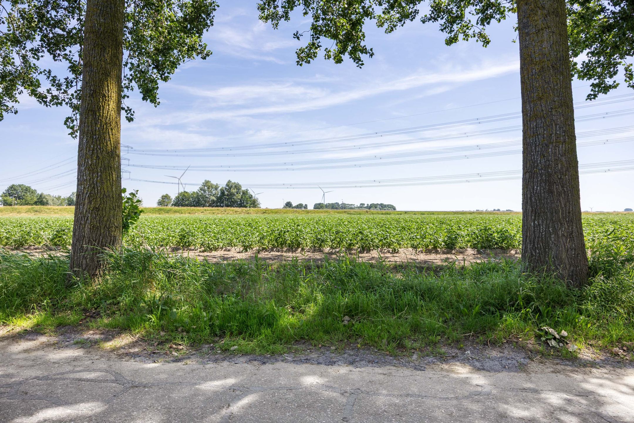 Foto 15 van Oostpolderweg 11
