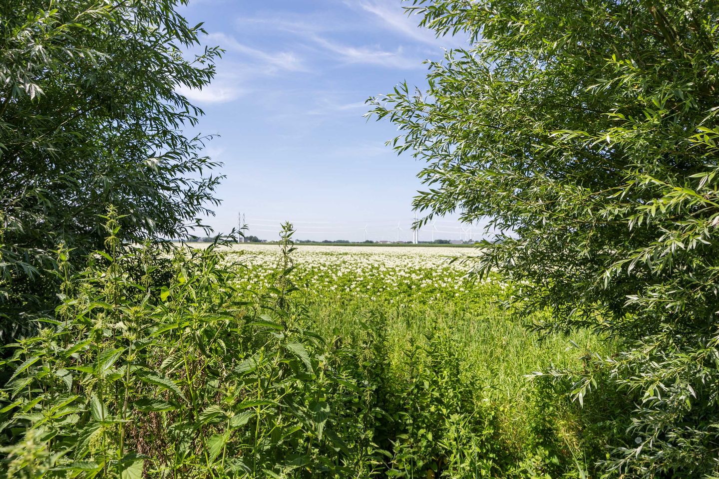 Foto 40 van Oostpolderweg 11