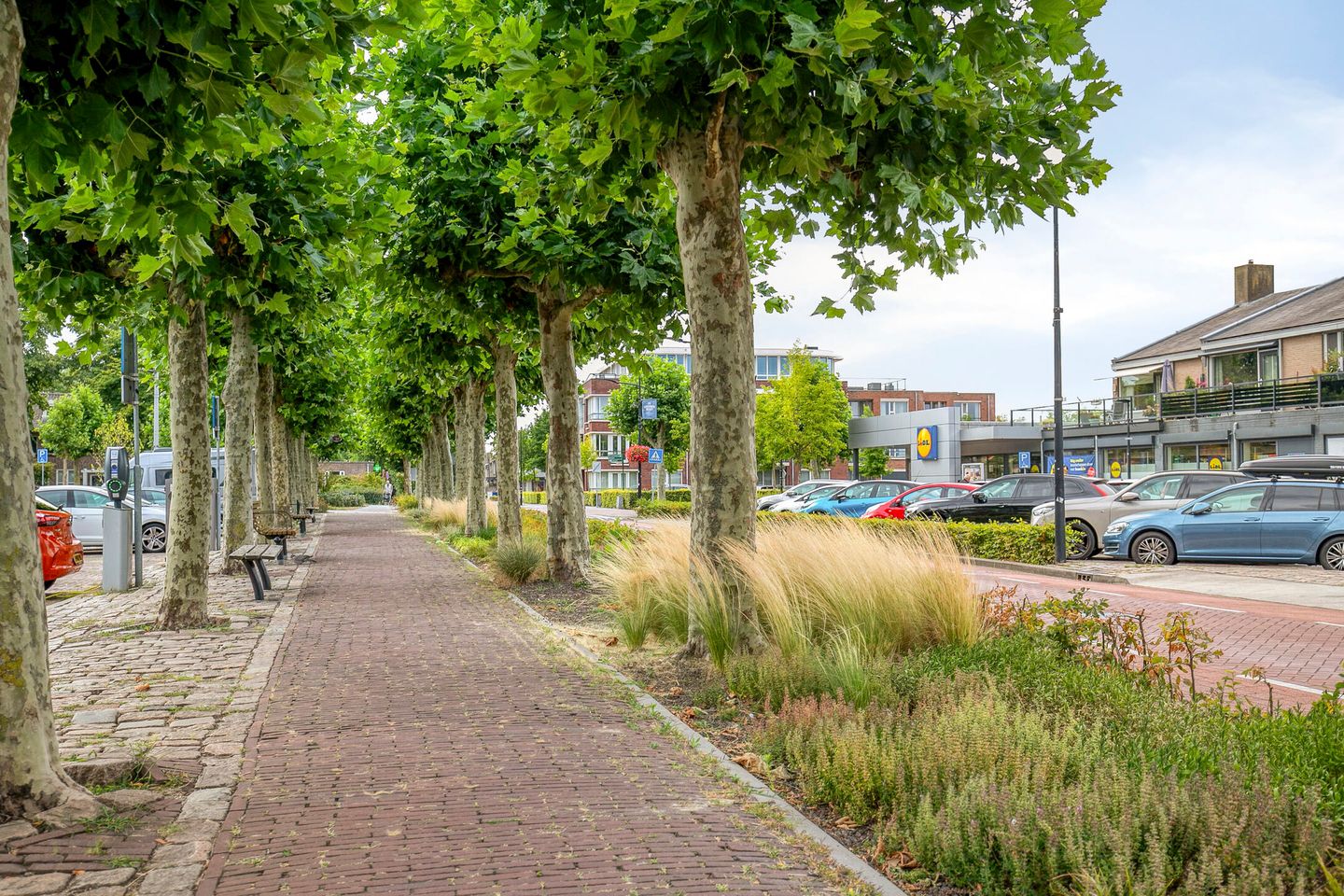 Foto 35 van Witte Molenweg 11