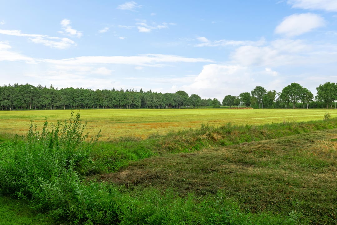 Photo 37 of De Gording 29