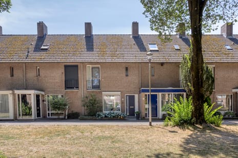 Koggeplein thumbnail