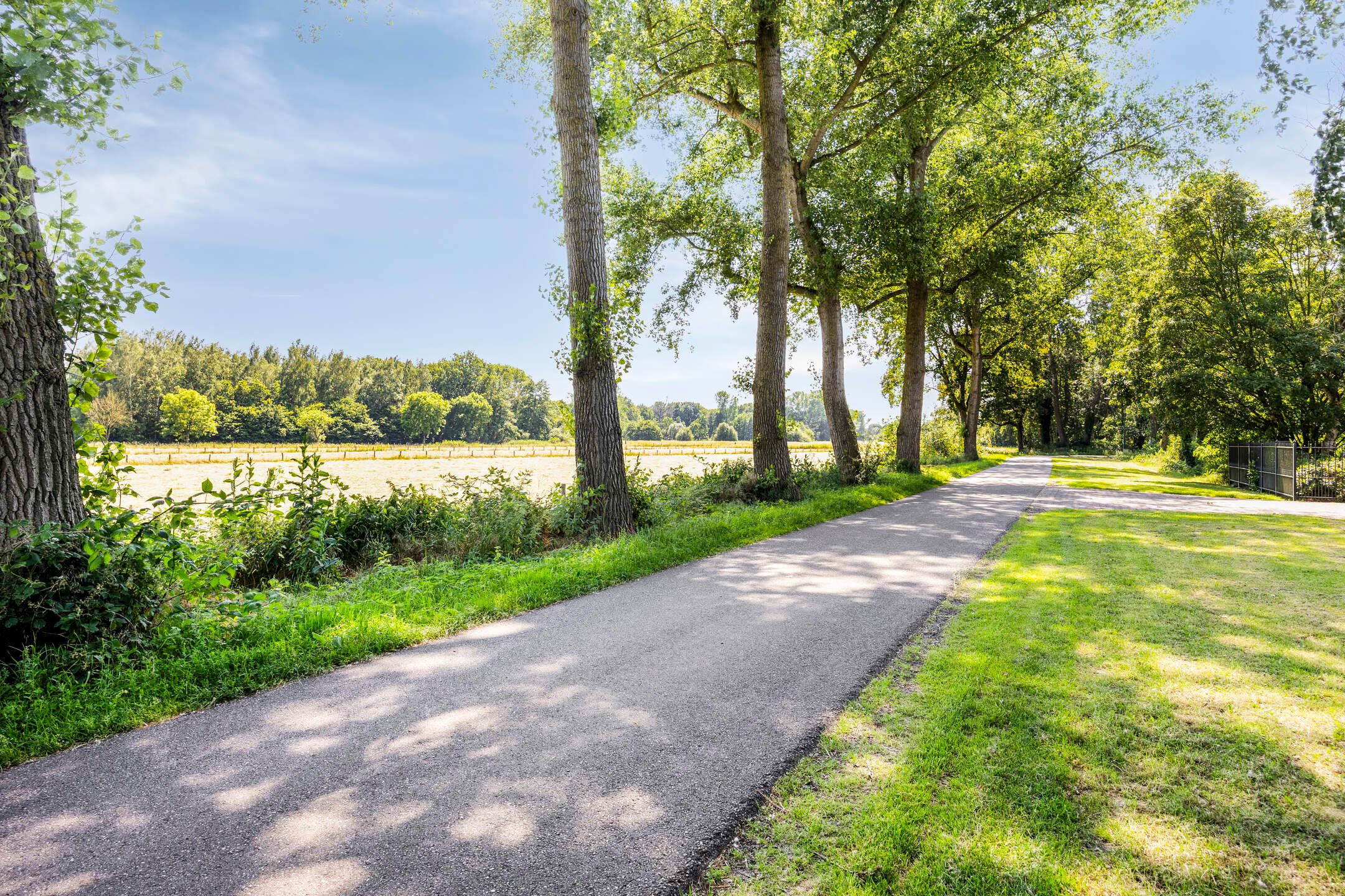Photo 6 of Hondsdijk 5