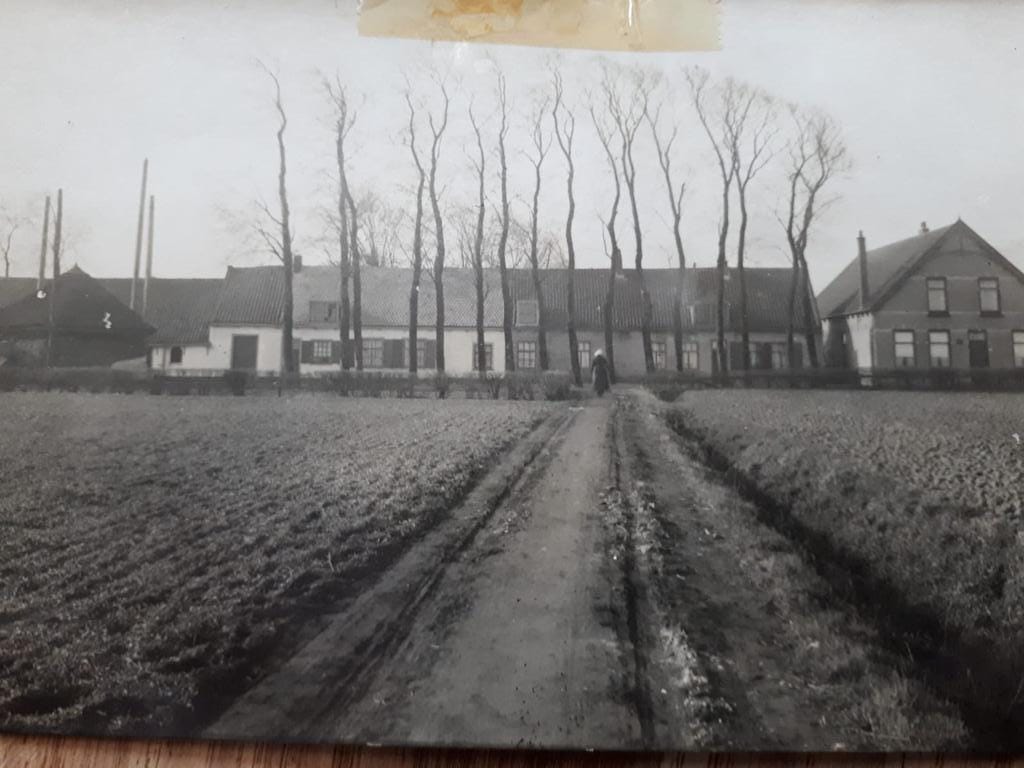 Foto 37 van Naaldwijkseweg 209-A
