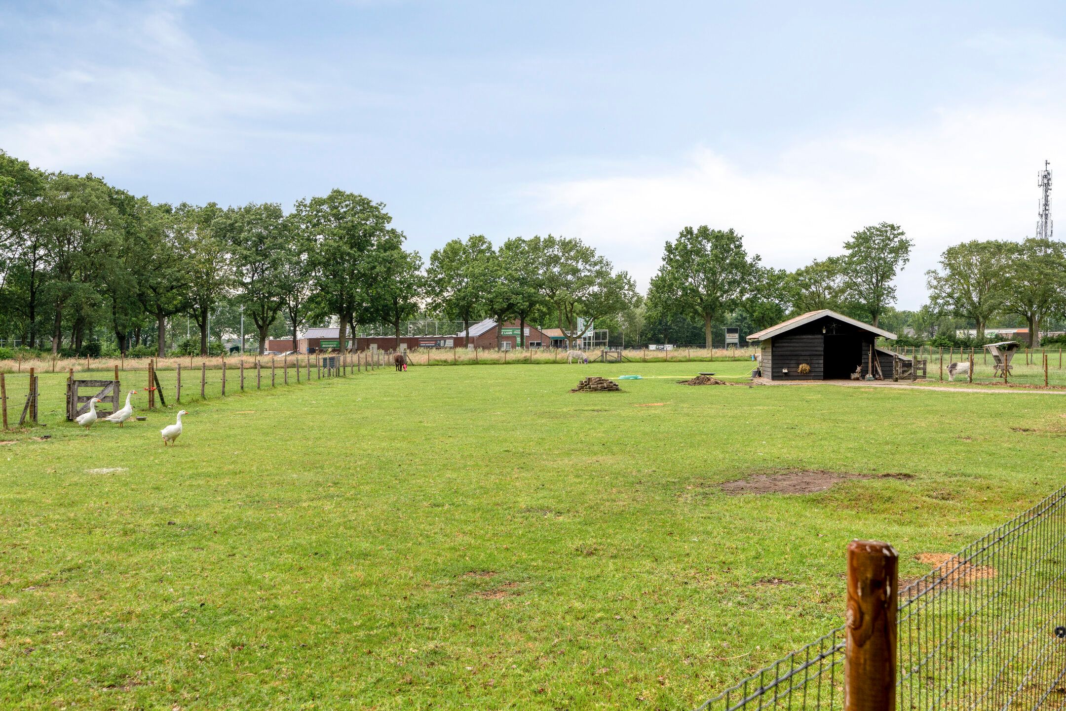 Photo 54 of Kempensbos 8