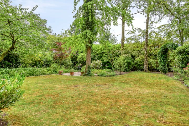 Foto 4 van Kempensbos 8