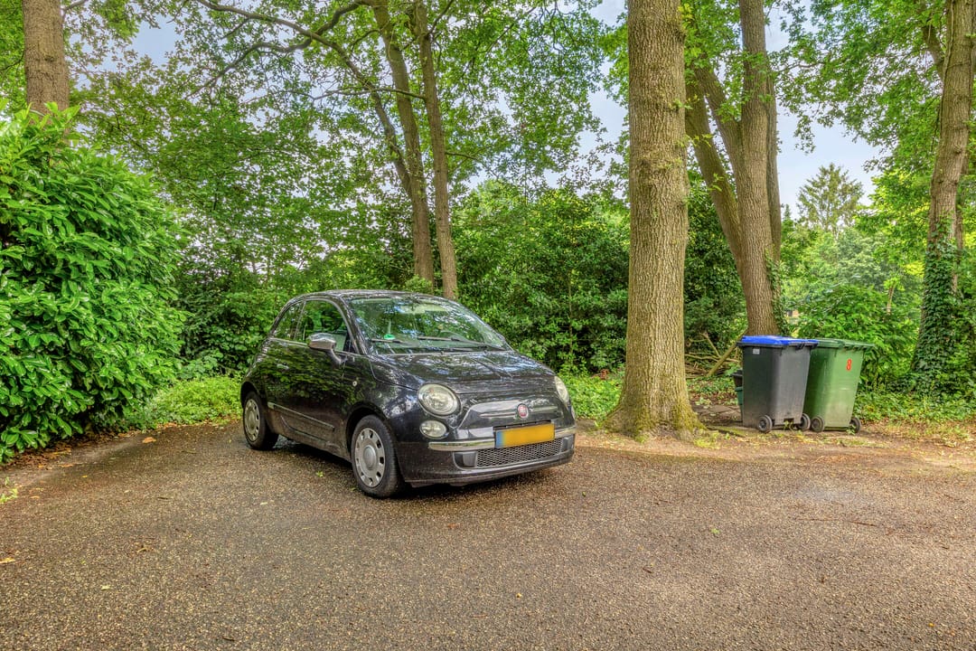 Photo 8 of Kempensbos 8
