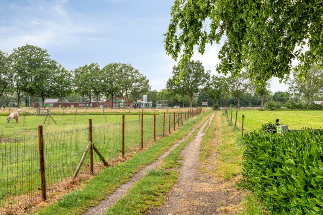 Photo 56 of Kempensbos 8
