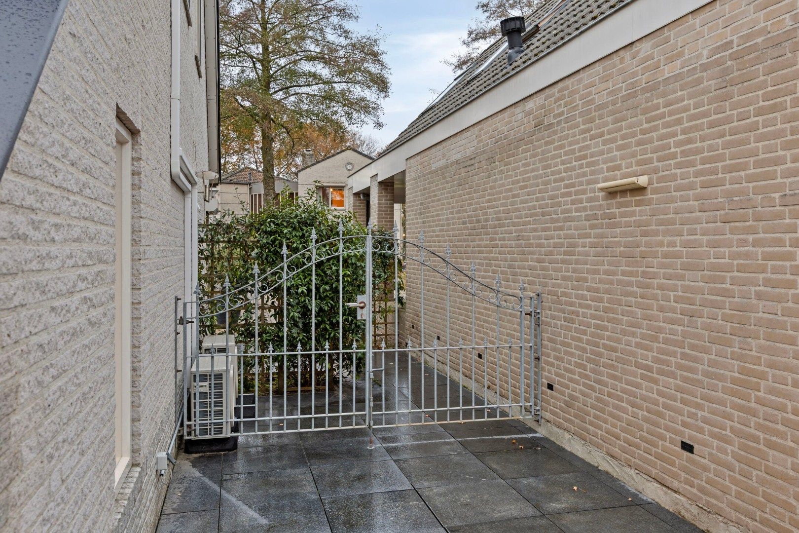 Foto 45 van Koren 5