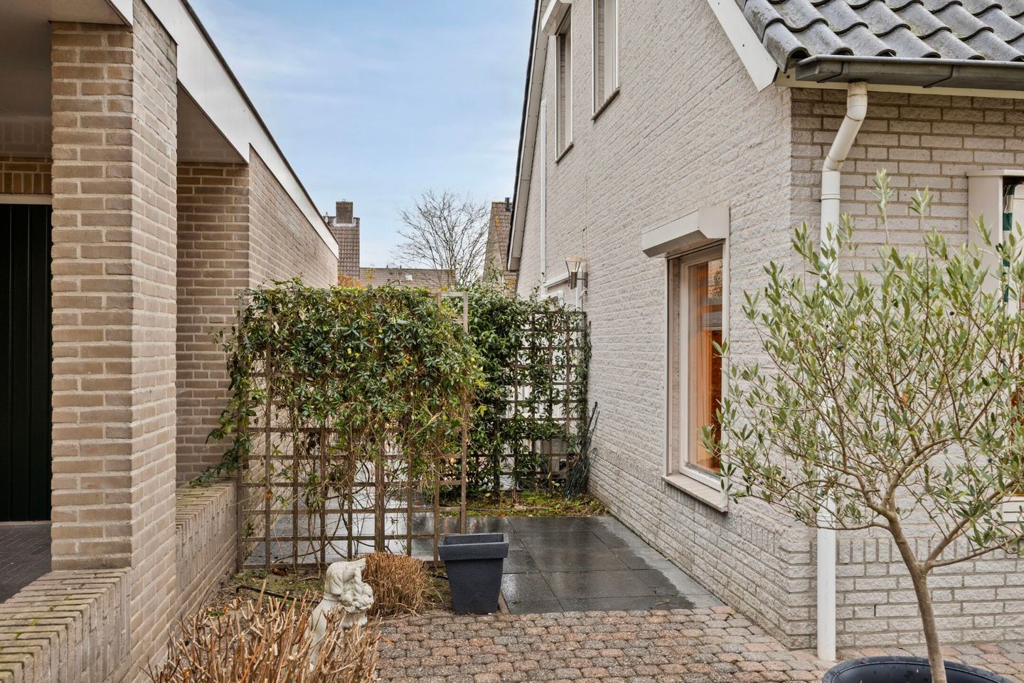 Foto 44 van Koren 5