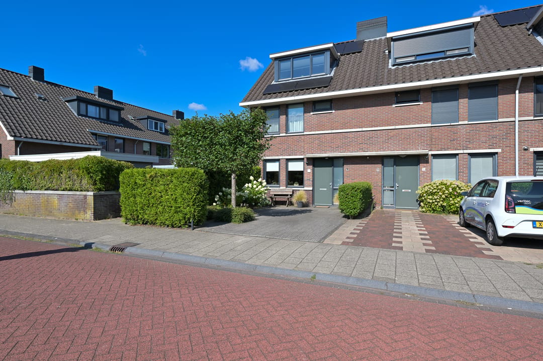 Foto 41 van Veldmuis 56