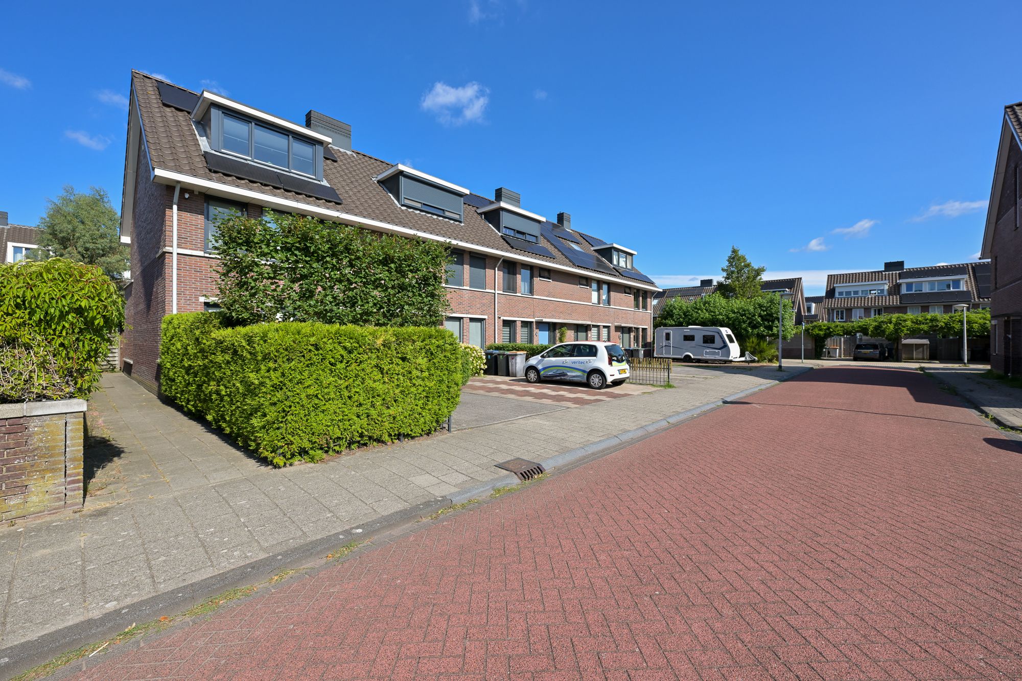 Foto 42 van Veldmuis 56