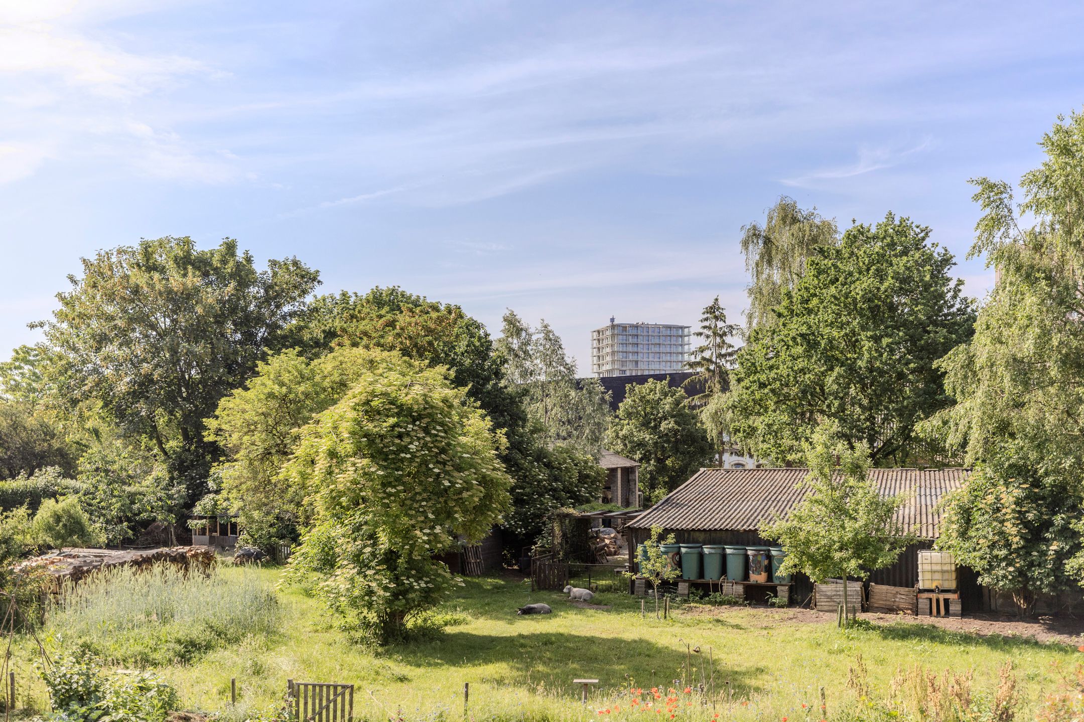Photo 30 of Pieter Pauwstraat 8