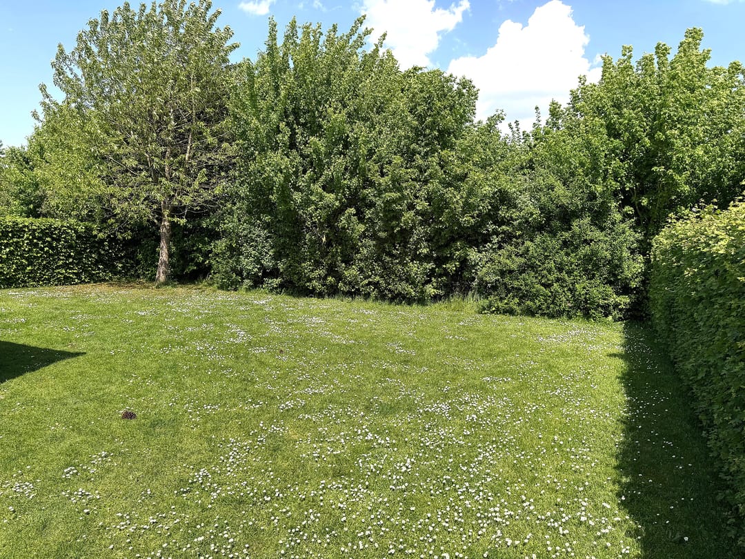 Foto 7 van Heldensedijk 5-B116